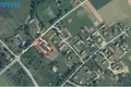 Commercial property 483 m² in ciudiskiai, Lithuania