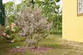 Haus 2 Schlafzimmer 72 m² Jutiapa, Honduras