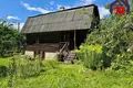 Haus 36 m² Alahnovicy, Belarus