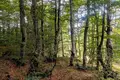 Parcelas  Zabljak, Montenegro