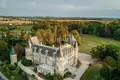 Zamek 40 pokojów 2 300 m² Francja, Francja