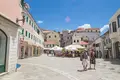 Commercial property 100 m² in Topla, Montenegro