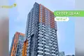 Квартира 2 комнаты 44 м² Копище, Беларусь