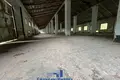 Commercial property 806 m² in Novakolasauski sielski Saviet, Belarus