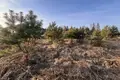 Land 2 994 m² Potasze, Poland