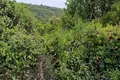 Parcelas  Kunje, Montenegro