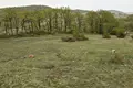 Land  Ambrolauri Municipality, Georgia