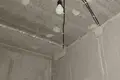 Квартира 3 комнаты 56 м² Копище, Беларусь