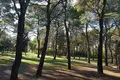 Willa 12 058 m² Grad Rovinj, Chorwacja