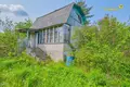 Haus 47 m² Lasanski sielski Saviet, Belarus