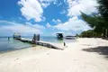 Дом 1 спальня 96 м² Pollytilly Bight, Гондурас