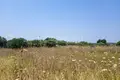 Land 5 048 m² Elassona Municipality, Greece