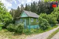 Casa 87 m² Piatryskauski sielski Saviet, Bielorrusia