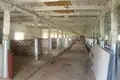 Производство 209 м² Плещеницы, Беларусь