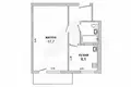 Wohnung 1 zimmer 30 m² Brest, Belarus