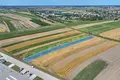 Sklep 8 500 m² Kotunia, Polska