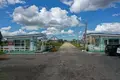 Land  Gatchinsky District, Russia