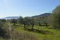 Земельные участки 7 000 м² периферия Пелопоннес, Греция