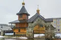 Haus 69 m² Ilya, Belarus