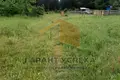 Parcelas  Radvanicki sielski Saviet, Belarús
