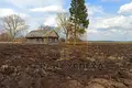 House 55 m² Dzivin, Belarus