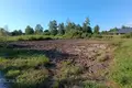 Grundstück 1 596 m² Dzerves, Lettland