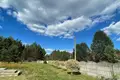 Grundstück  Ivianiecki sielski Saviet, Belarus