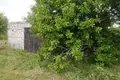 Land  Pliski selski Savet, Belarus