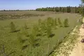 Atterrir 1 405 m² Nieczajna, Pologne