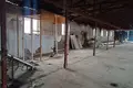 Commercial property 1 294 m² in Januskavicki sielski Saviet, Belarus