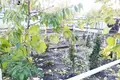 Земельные участки 500 м² Нижний Новгород, Россия