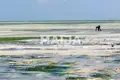 Land  Zanzibar, Tanzania