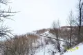 Haus 60 m² Mjadsel, Belarus