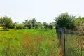 Atterrir 1 438 m² Pniewo, Pologne