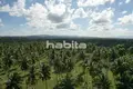 Земельные участки  Nagua, Доминиканская Республика
