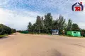 Haus 43 m² Fanipalski sielski Saviet, Belarus