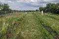 Grundstück  Konyuhi, Weißrussland