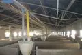 Warehouse 3 538 m² in Aradhippou, Cyprus