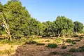 Atterrir  Vejer de la Frontera, Espagne