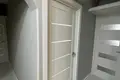 Квартира с хорошим ремонтом на сутки в городе Витебск. Отчетные документы.