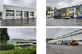 Commercial property 12 858 m² in Goesselborn, Germany