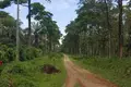 Dom 1 pokój 65 m² El Pino, Honduras