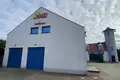 Commercial property 521 m² in Plewiska, Poland