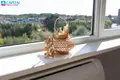 Mieszkanie 1 pokój 17 m² Wilno, Litwa