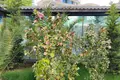 Studio apartment 1 bedroom 25 m² Sochi, Russia