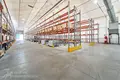 Warehouse 3 rooms 4 000 m² in Fanipal, Belarus