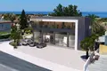 Commercial property  in Cyprus, Cyprus