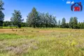 Commercial property 50 000 m² in Dobromyslenskiy selskiy Sovet, Belarus