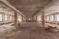 Коммерческое помещение 1 300 м² Марьина Горка, Беларусь