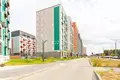 Apartamento 1 habitación 33 m² Kopisca, Bielorrusia